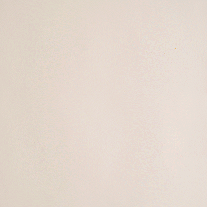 Polkadog Alaskan Salmon Chips