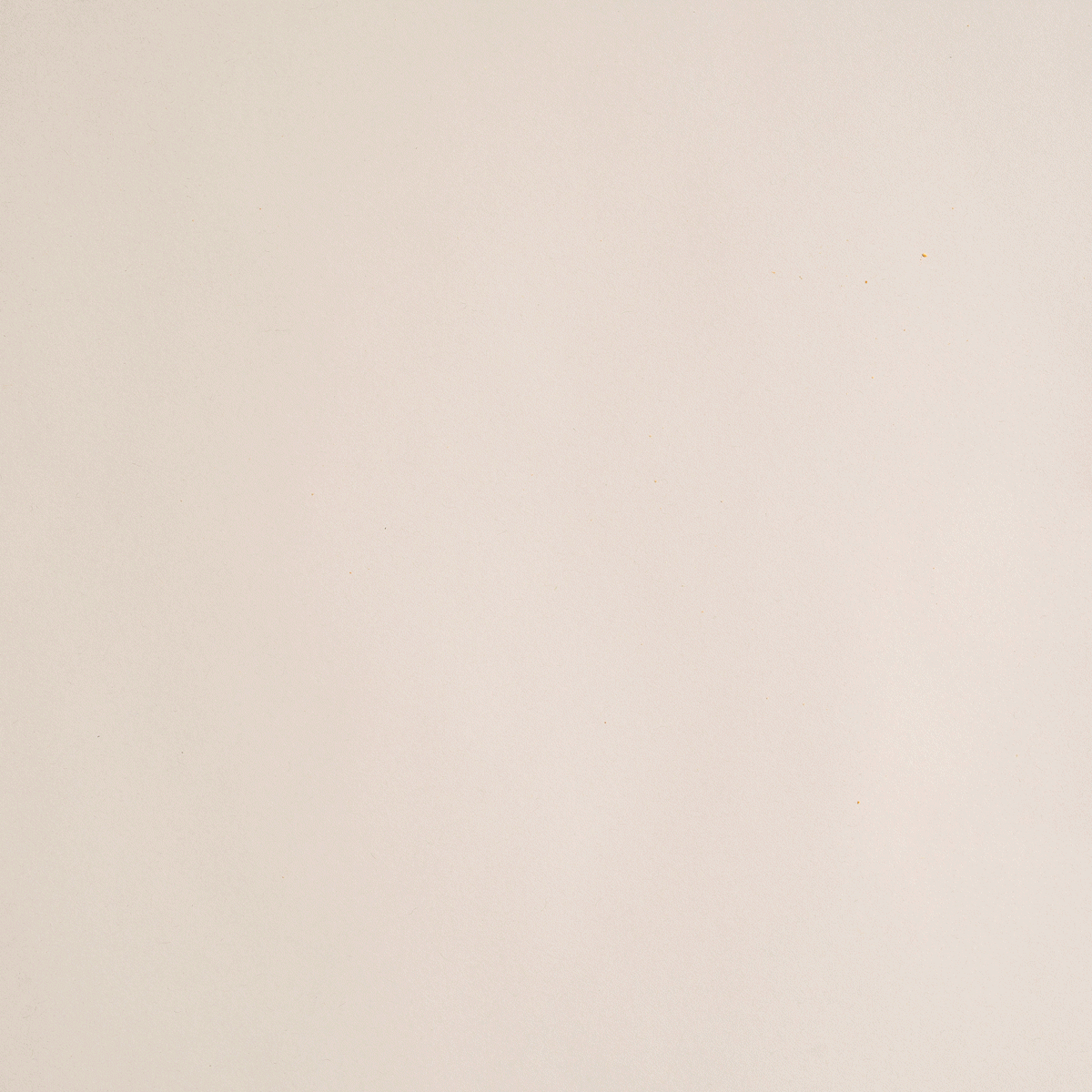 Polkadog Alaskan Salmon Chips