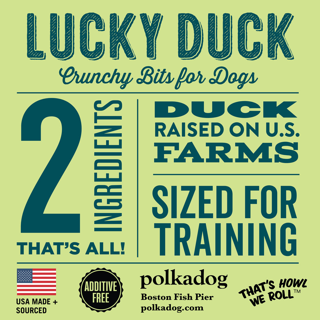 Polkadog Lucky Duck (Bits)