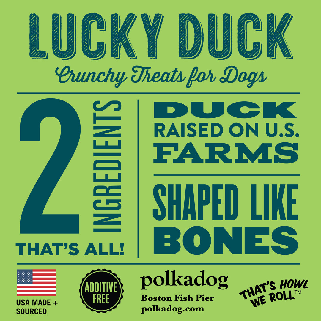 Polkadog Lucky Duck (Bones)