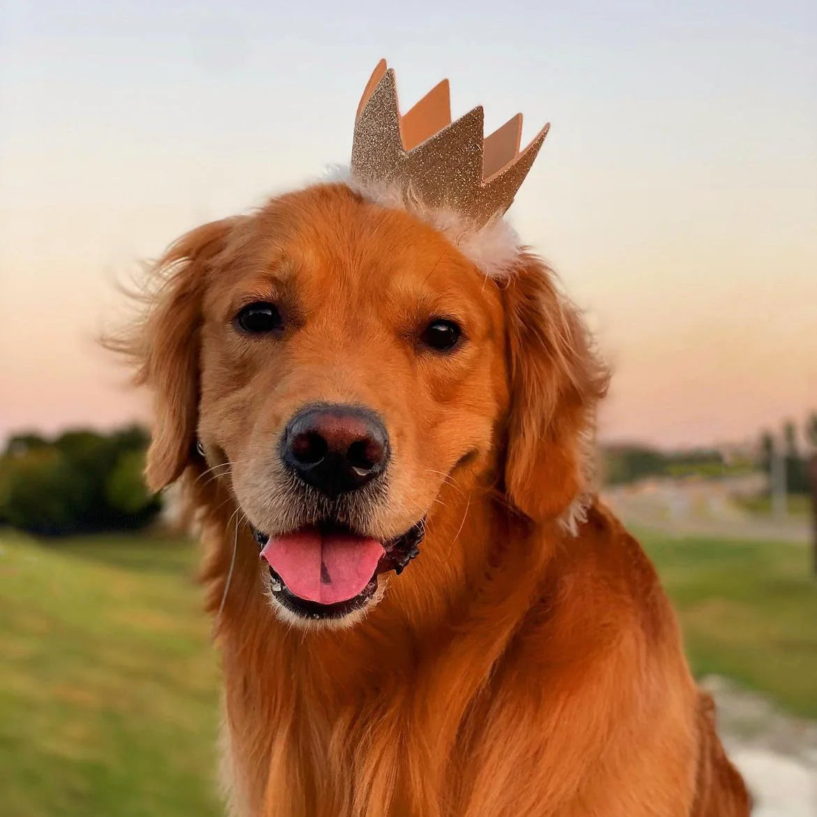 Huxley & Kent - Gold Party Time Crown