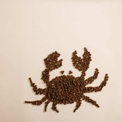 Polkadog Green Monstah (Bits)