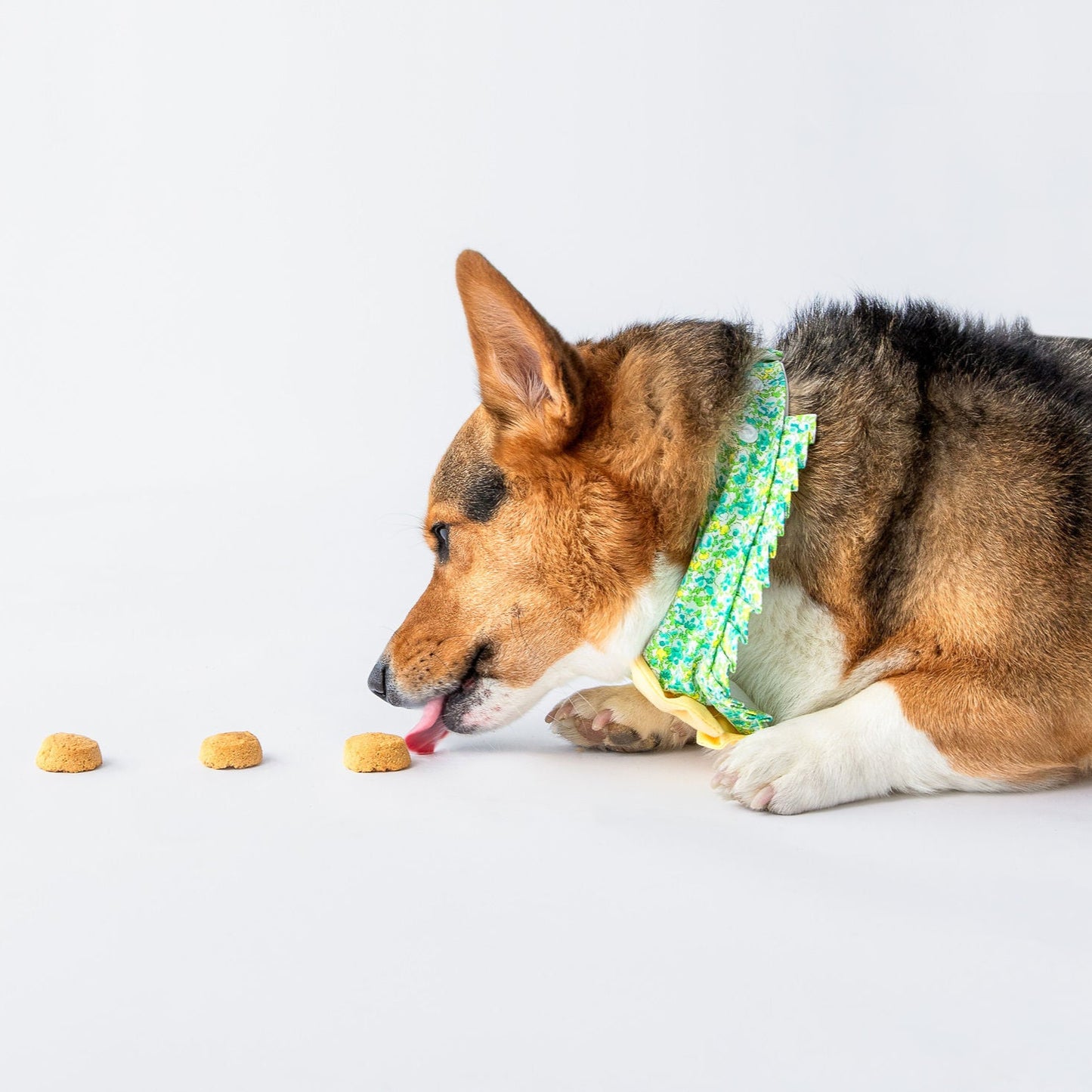 Polkadog x Fancypants Apple & Cinnamon Cookies