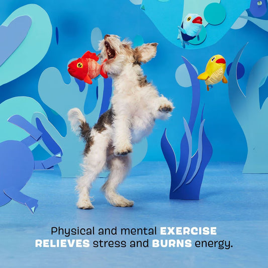 Bark - Fish School 3-pk