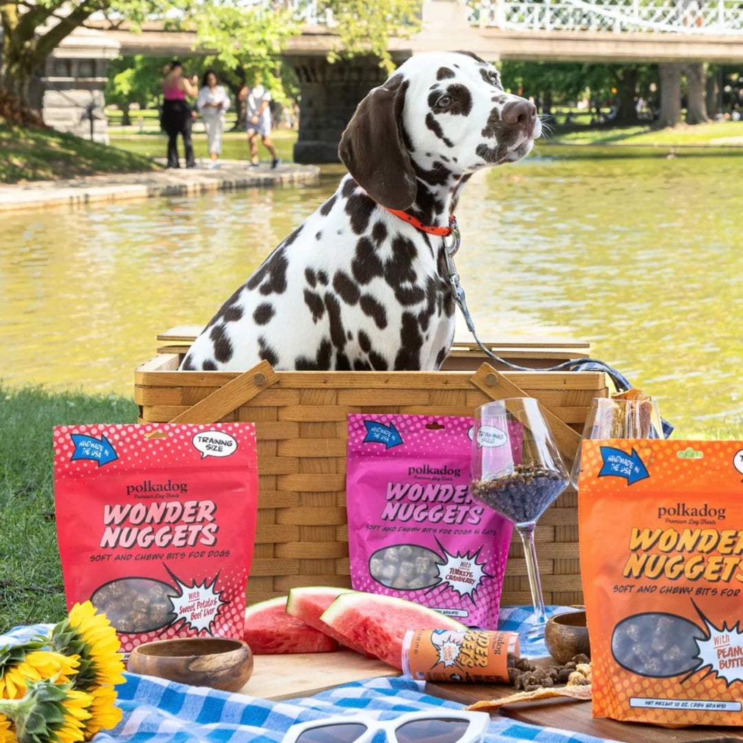 A young Dalmation sits in a woven picnic picnic basket in front of a greenish lake. In front of the basket is a picnic of Wonder Nuggets treats by Polkadog