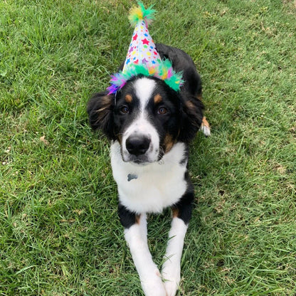 Huxley & Kent - Superstars Party Time Hat