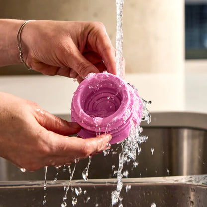 Woof - Party Pink Pupsicle