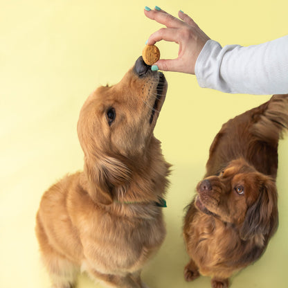 Polkadog x Fancypants Apple & Cinnamon Cookies