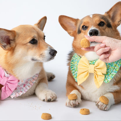 Polkadog x Fancypants Apple & Cinnamon Cookies