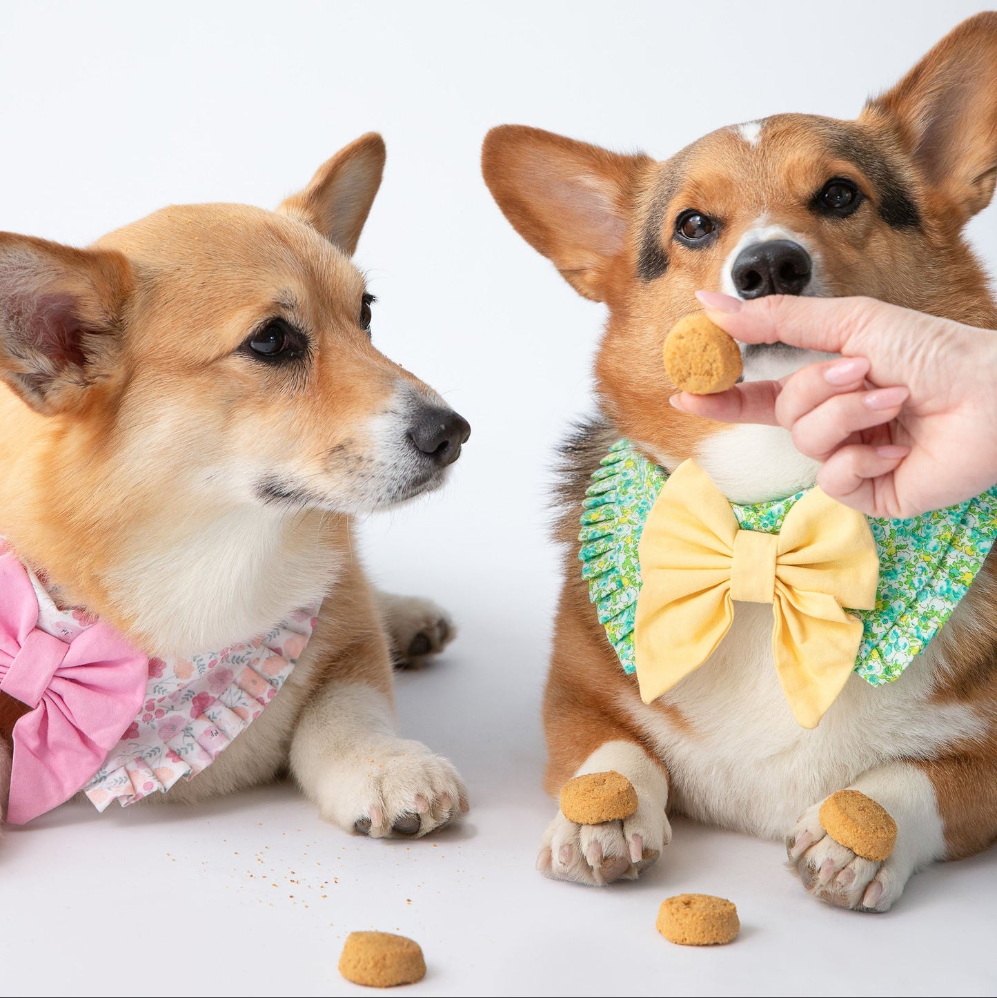 Polkadog x Fancypants Apple & Cinnamon Cookies