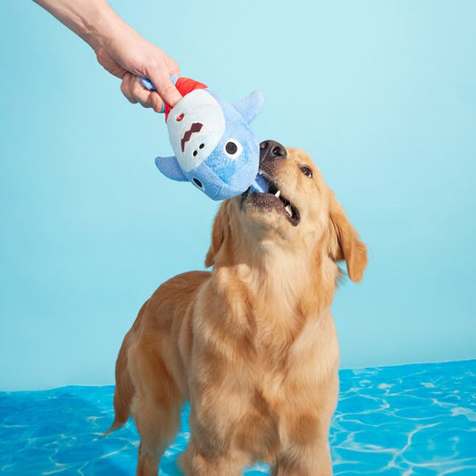 Bark - Pool Shark Shane