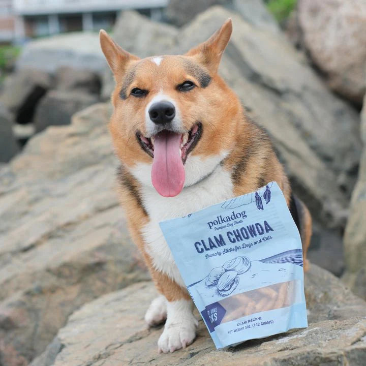 A smiling, rotund corgy sitting on some boulders, with a bag of CLAM CHOWDA treats