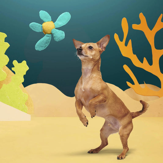 Bark - Stevie Sea Turtle