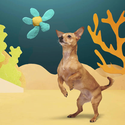 Bark - Stevie Sea Turtle