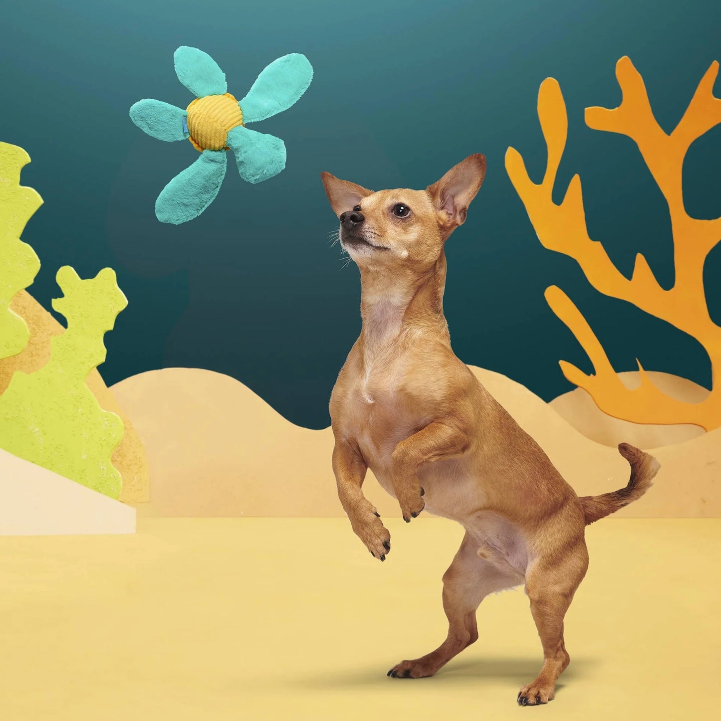 Bark - Stevie Sea Turtle