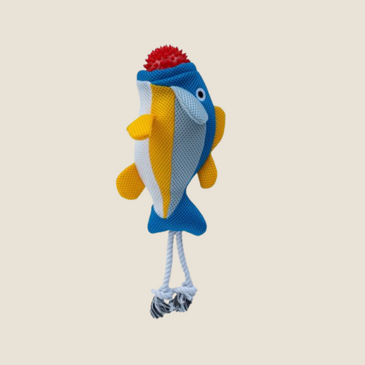 Territory - 2-in-1 Floating Fish