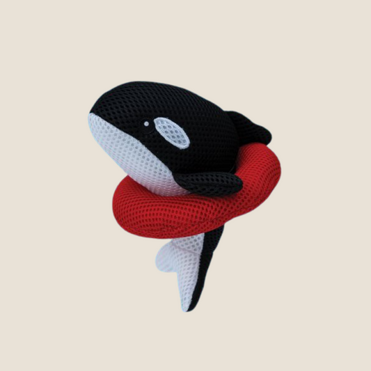 Territory - Floating Orca