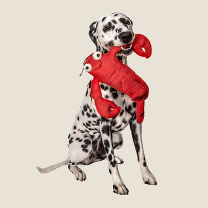 Fabdog - Floppy Lobster