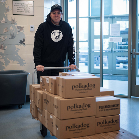 Day in our Life with Charlie McAvoy at MSPCA!