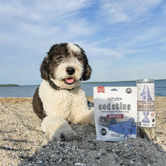 Our Dog-Friendly Summer Bucket List