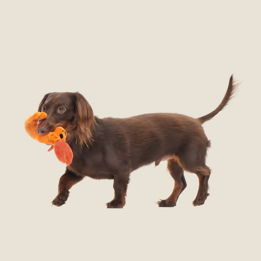 Bark - Della Crawfish