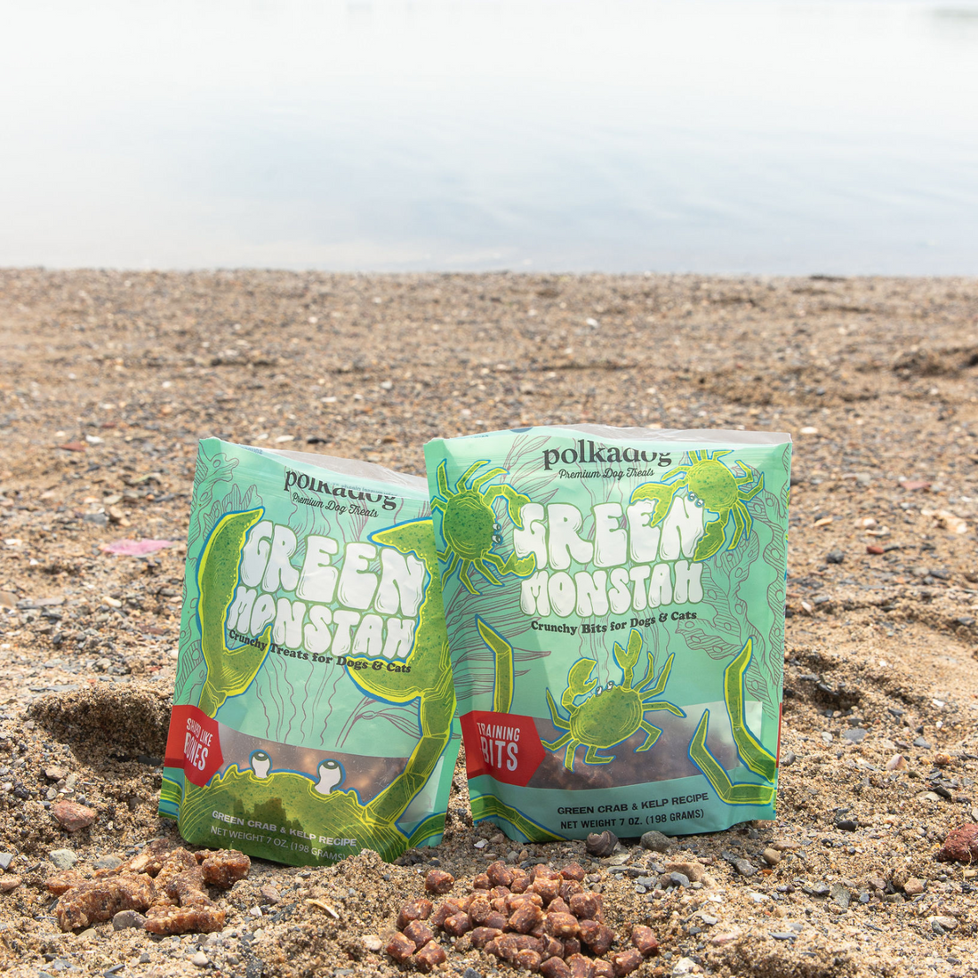 Invasive Impact: Celebrate Green Crab Week with us!