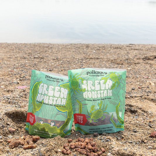 Invasive Impact: Celebrate Green Crab Week with us!