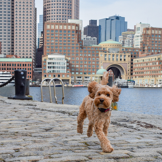 Get to know our Brand Ambassadors!