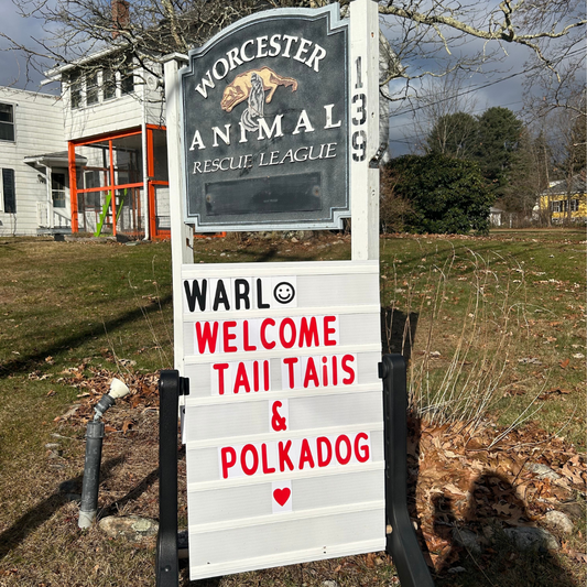 The Reason for the Season: Giving Back to our Local Animal Shelter