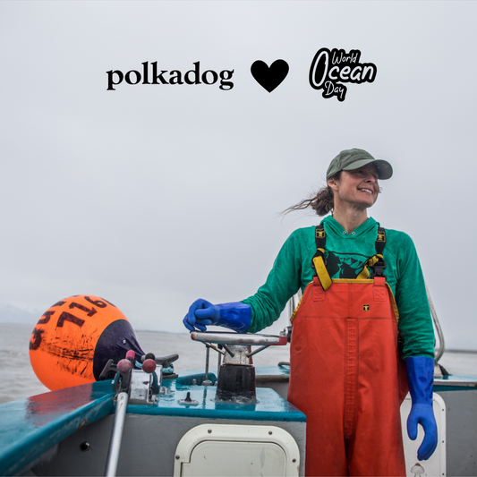 What World Oceans Day means to us